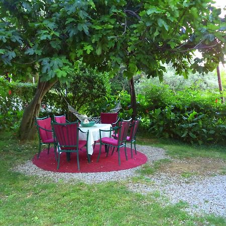 Apartments Nikcevic Budva Kültér fotó